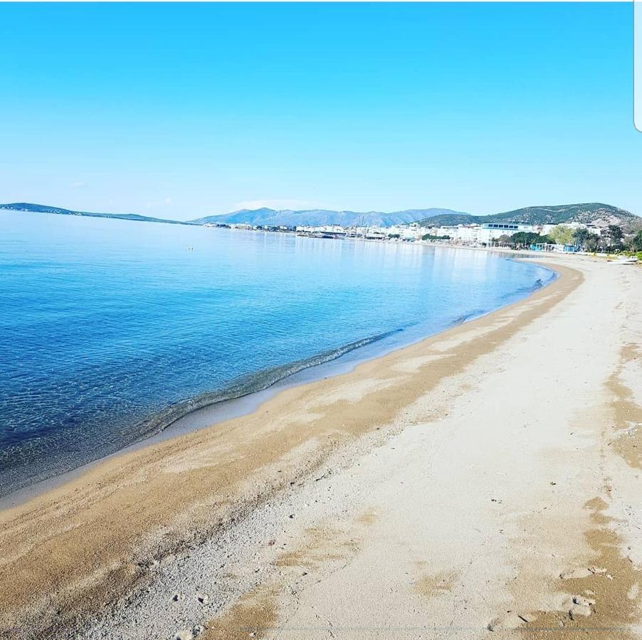 Avsa Motel Marmara Adasi Luaran gambar